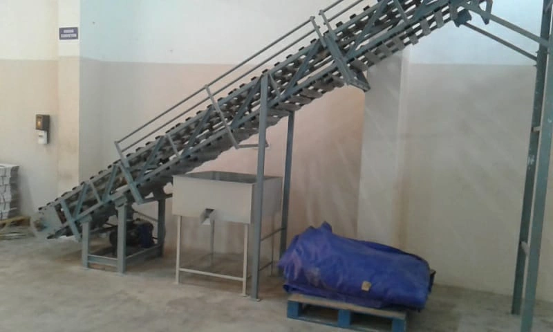 Chain Conveyor in Chennai