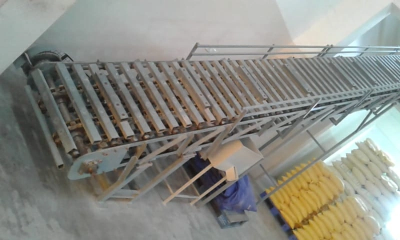 Chain Conveyor in Chennai